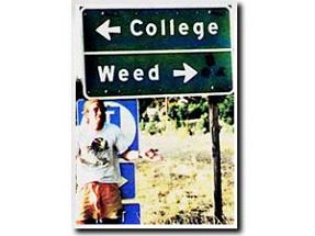 college or weed