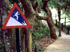 handicapped man eating crocodile