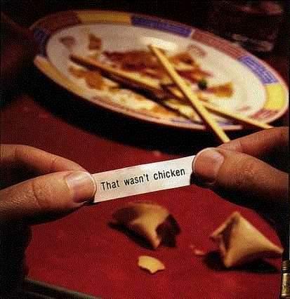 unfortune cookie