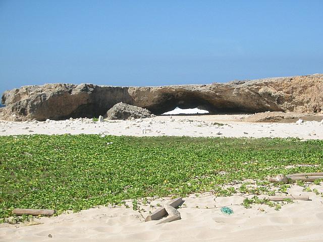 mini natural bridge