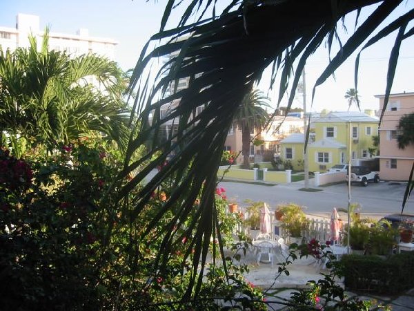 view from our window