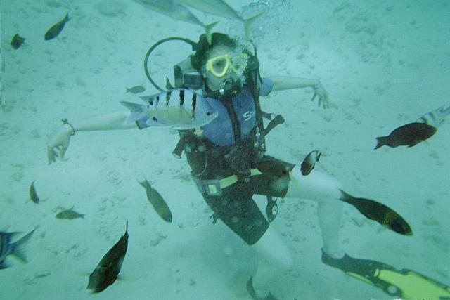 anastasia among fish