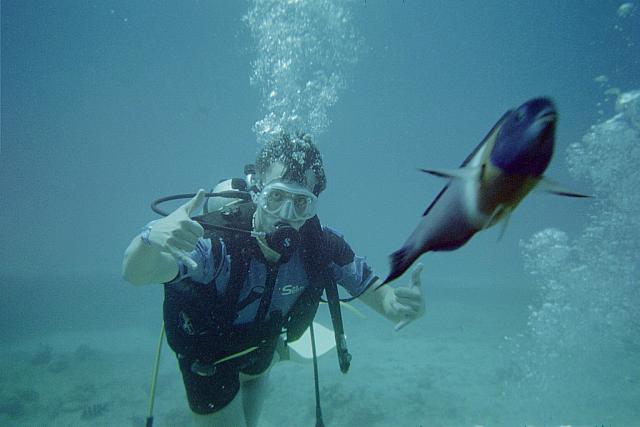 chasing fish