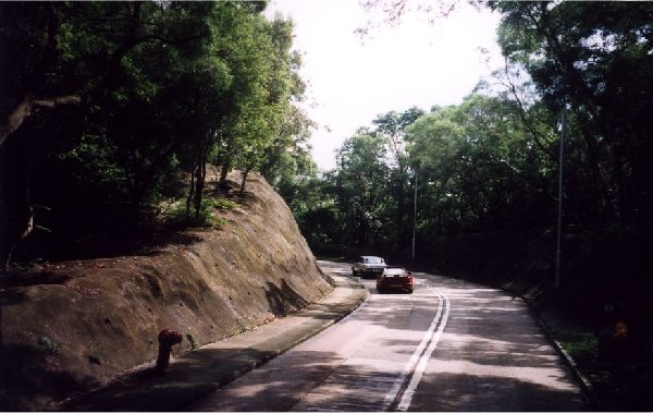 Road on Lantau