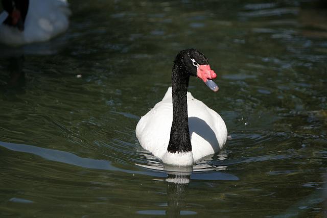 054