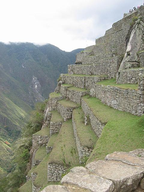 IMG 6014