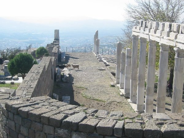 Goats rule the ruins