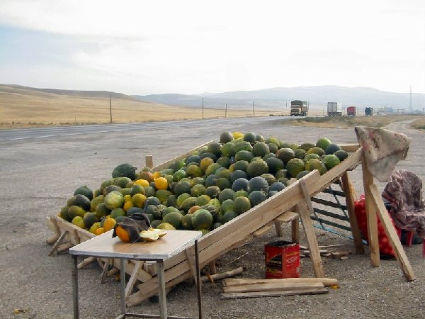 roadside melons