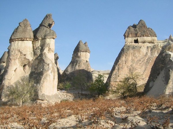 mushroom huts
