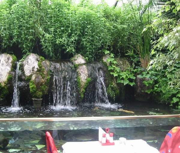 inside the restaurant
