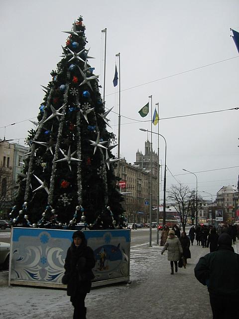 IMG 5783