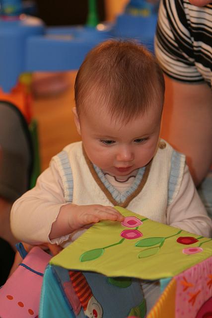IMG 2595
