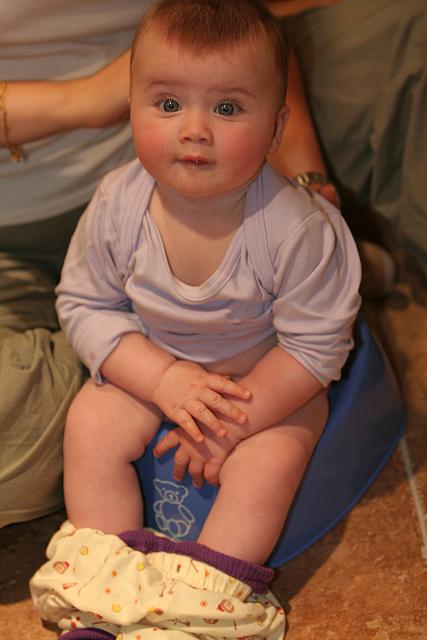 IMG 2695 2