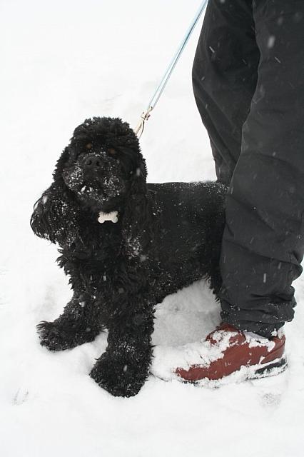 011211 Snowed in5