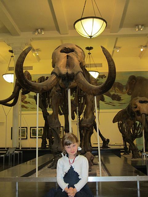 06062011 Ellie museum of natural history 8
