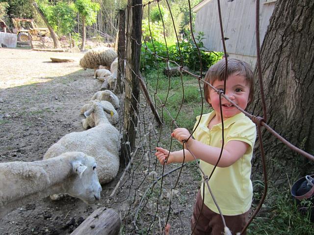 06072011 Farm fun1