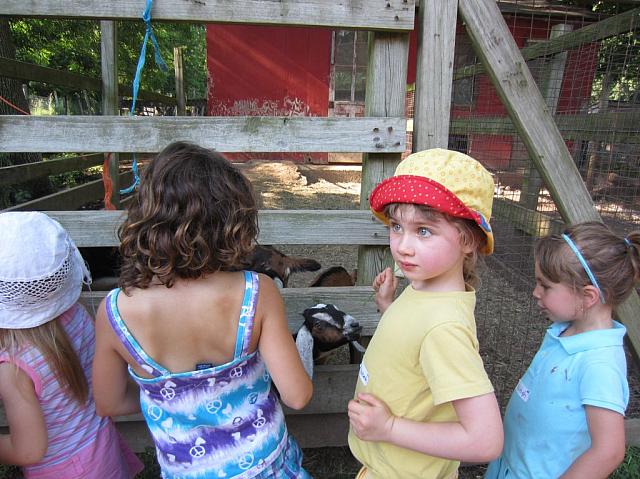 06072011 Farm fun3