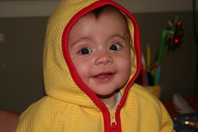 IMG 3746