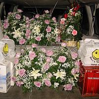 Marina and Ivan Wedding 1