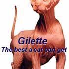 gillete the best a cat can get