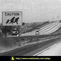 caution stupid people