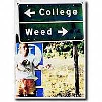 college or weed