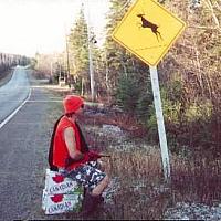 got to be good hunting spot