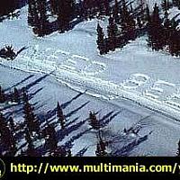 message from the lost in the woods