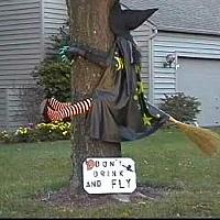 no drinking and flying