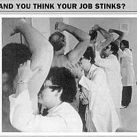 stinky job