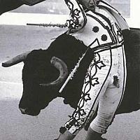 matador dont be afraid