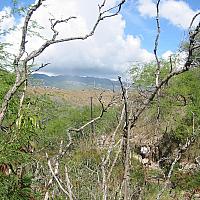 path to Diamond Head 1