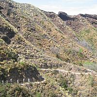 path to Diamond Head 2