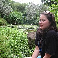 10 04 2004 Rainforest