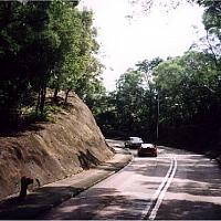 Road on Lantau