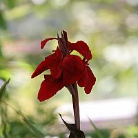 031