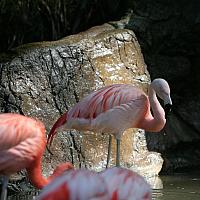 067