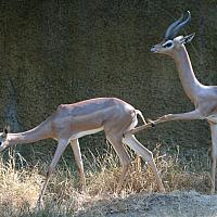 183