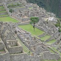 IMG 5978