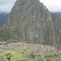 IMG 5982