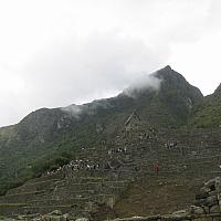 IMG 5989