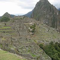 IMG 6041