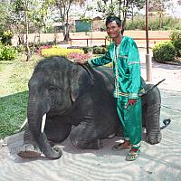 IMG 6581