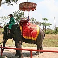 IMG 6591