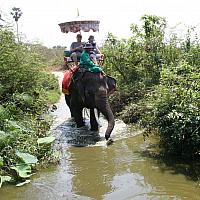 IMG 6638