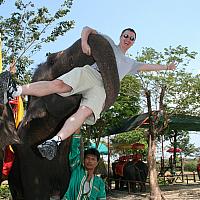 IMG 6661