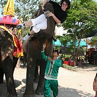 IMG 6674