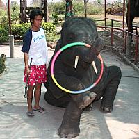 IMG 6680