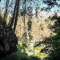 IMG 7127