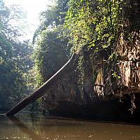 IMG 7162